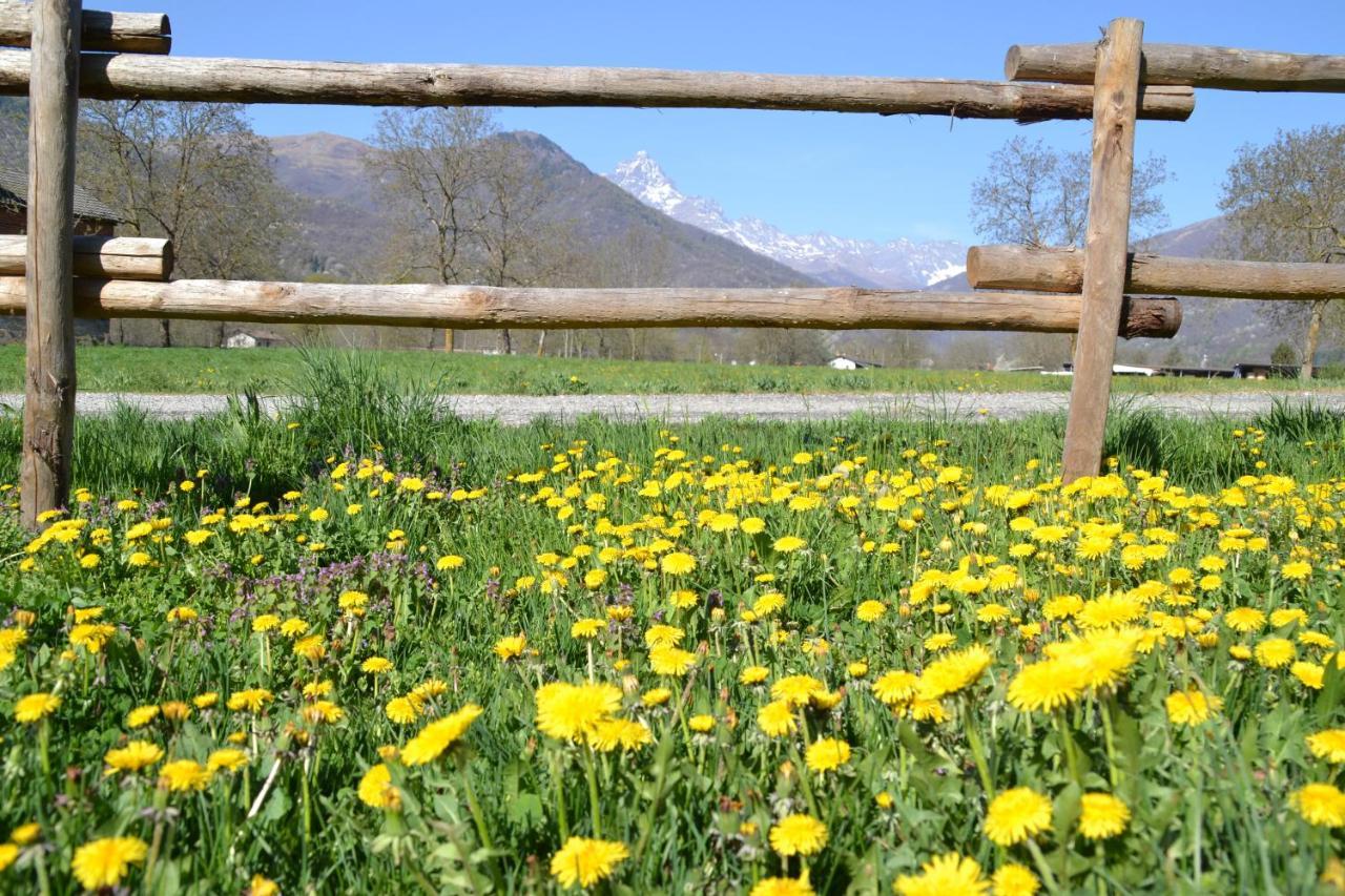 Semi Al Vento: La Bio-Casa Nel Giardino Incantato! Apartment Paesana Bagian luar foto
