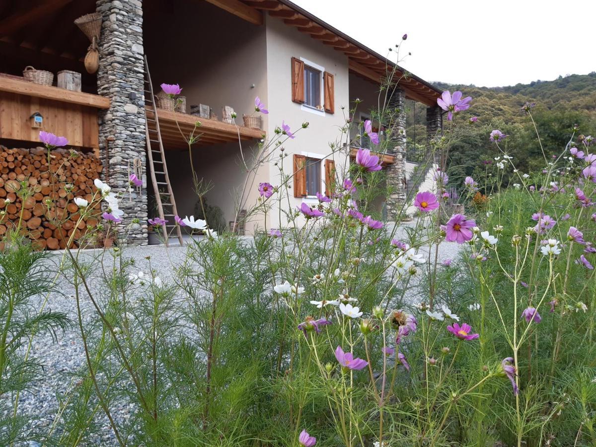 Semi Al Vento: La Bio-Casa Nel Giardino Incantato! Apartment Paesana Bagian luar foto