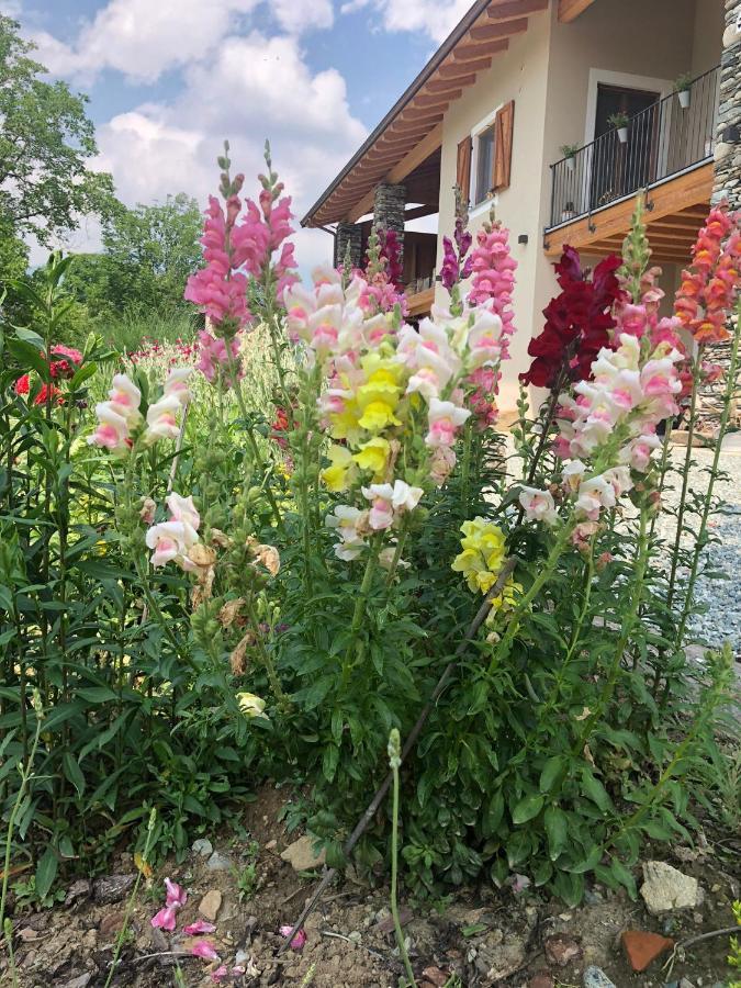 Semi Al Vento: La Bio-Casa Nel Giardino Incantato! Apartment Paesana Bagian luar foto