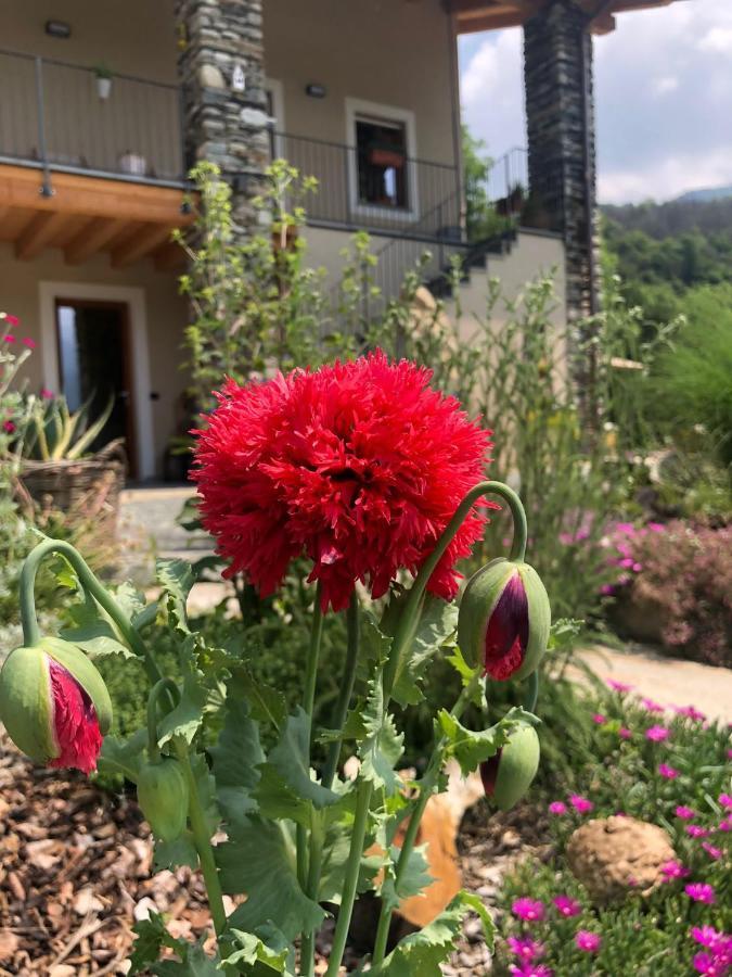 Semi Al Vento: La Bio-Casa Nel Giardino Incantato! Apartment Paesana Bagian luar foto