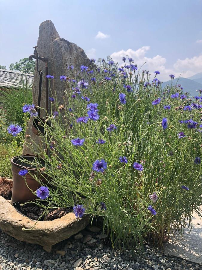 Semi Al Vento: La Bio-Casa Nel Giardino Incantato! Apartment Paesana Bagian luar foto