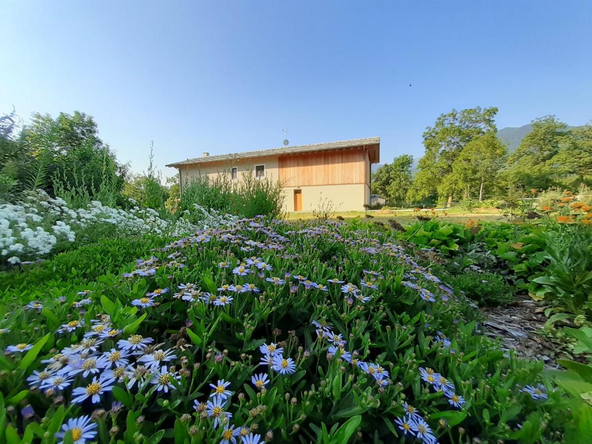 Semi Al Vento: La Bio-Casa Nel Giardino Incantato! Apartment Paesana Bagian luar foto