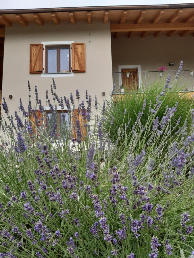 Semi Al Vento: La Bio-Casa Nel Giardino Incantato! Apartment Paesana Bagian luar foto